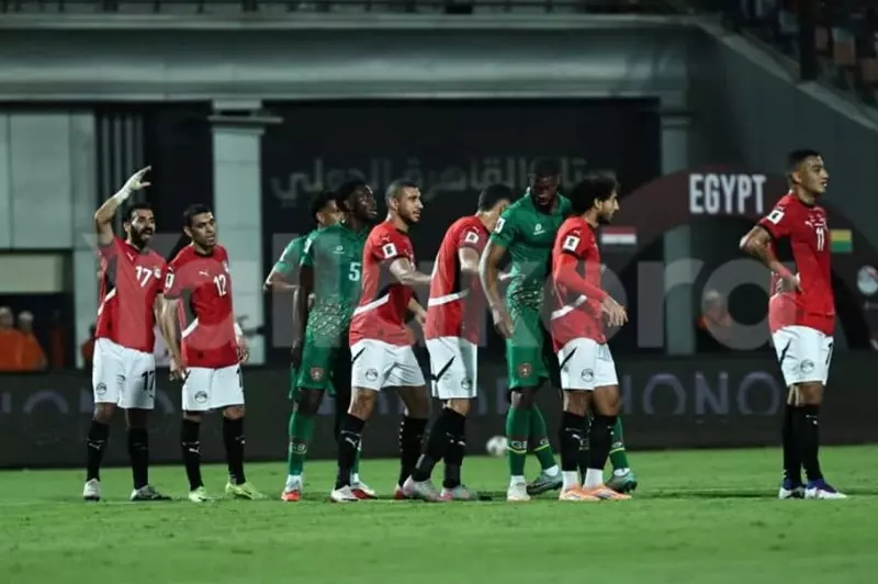 مصر من بينهم.. تأشيرة مجانية لـ4 دول في أمم أفريقيا